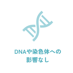 DNAや染色体への影響なし