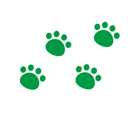 床汚れのふきとり・除菌に